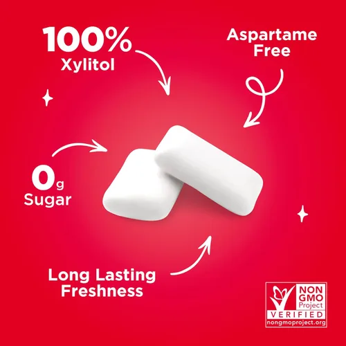 Miniatura 7 de PUR Gum Chicle sin Aspartamo 100% Xilitol Chicle con sabor natural a canela, 55 piezas (paquete de 1)