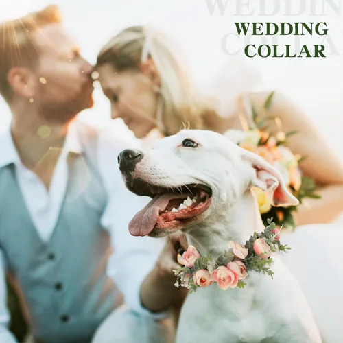 Miniatura 2 de Honoson Collar de flores de boda para perro, atuendo floral rosa, lazo de corona para mujeres, mascotas, gatos, fiesta, accesorios para fotos