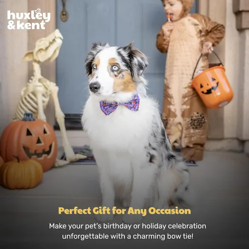 Miniatura 9 de Huxley & Kent Pajarita para mascotas para perros y gatos – Accesorio ajustable para collar de gancho y bucle de Halloween – Lindo y cómodo