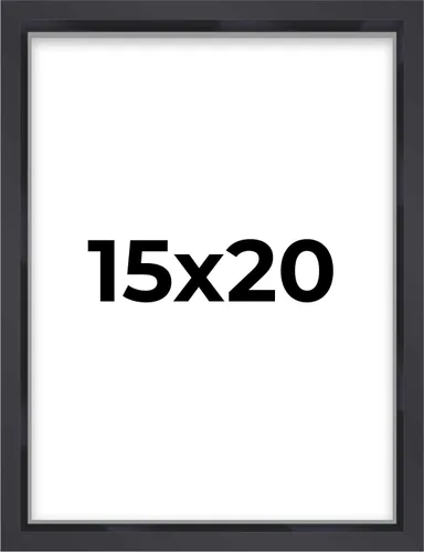 Miniatura 162 de Marco contemporáneo de caja de sombra negra de 14 x 25 pulgadas, profundidad de espacio utilizable, tamaño interior 14 x 25 o 25 x 14 pulgadas