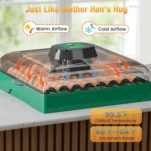 Miniatura 4 de Incubadora de huevos para huevos de gallina, capacidad máxima de 72 huevos con girador automático de huevos y control de humedad, incubadora