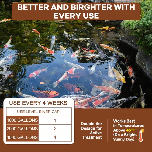 Miniatura 7 de Dr.Raifya's Reductor de polvo - 9.000 gránulos naturales de lodos de estanque y fuente de agua, bacterias beneficiosas seguras para peces y vida