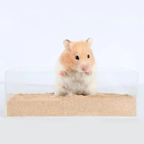 Miniatura 5 de DR.DUDU Arena de baño para hámster, 6.6 libras, libre de polvo, arena del desierto o arena para orinal para hámster, chinchillas, jerbos, ratones