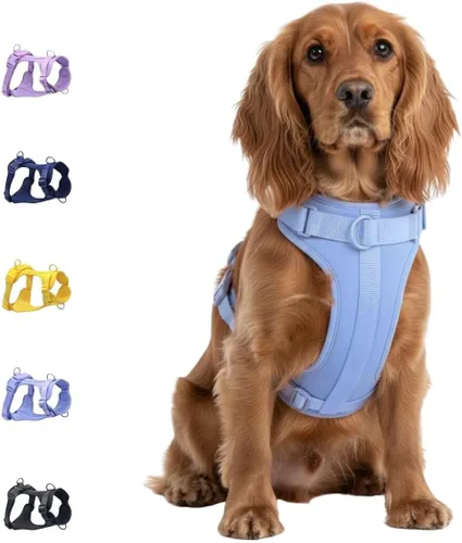 Miniatura 19 de Dog Harness - No Pull Adjustable Front Clip Vest with Soft Padding, 3Leash Clips, and No-Choke Oxford Design Comfort for Small, Medium, and Large