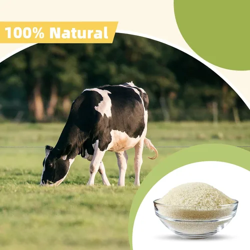 Miniatura 3 de Besway Gelatina de carne en polvo sin sabor 8 oz, gelatina culinaria para gomitas, malvaviscos, postres y más, sin OMG, Halal, Keto, producto