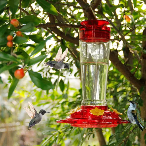 Miniatura 5 de Shrdaepe Comedero para colibríes, comedero para pájaros con botella de vidrio, 5 puertos de alimentación, capacidad de néctar de 10 onzas Rojo
