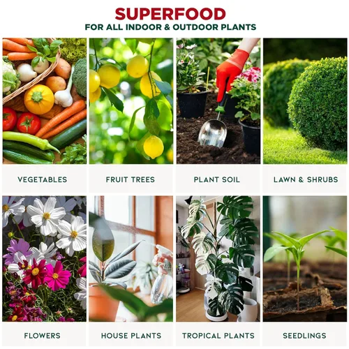 Miniatura 7 de GARDENERA Superalimento orgánico prémium de algas marinas y algas marinas para plantas AGLAONEMA, 8 onzas, concentrado de fertilizante líquido