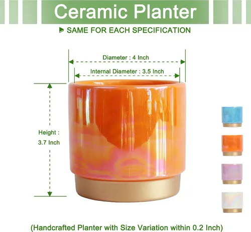 Miniatura 2 de Gepege - Macetas para suculentas para plantas, maceta para suculentas con agujeros de drenaje, maceta de cerámica para plantas de interior, juego