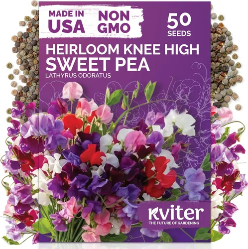 Miniatura 43 de KVITER 1600 semillas de pensamiento de los gigantes suizos para plantar (Viola wittrockiana) - Paquetes de semillas de colores mixtos Flores