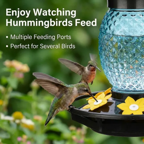 Miniatura 2 de Fchstaer Comederos de vidrio para colibríes para colgar al aire libre, paquete de 2 unidades de 16 onzas, a prueba de abejas y hormigas, 360°, a