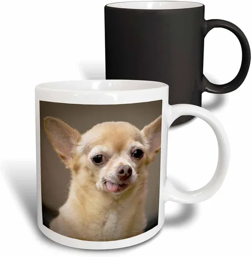 Miniatura 13 de 3dRose Taza de café, tamaño – 15 oz – Perro Chihuahua sin dientes, Santa Fe, Nuevo México – US32 JMR0502 – Julien McRoberts Dogs – divertido regalo