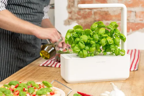 Miniatura 2 de Click & Grow Smart Garden 3 - Kit de jardinería para interiores (incluye cápsulas de albahaca)