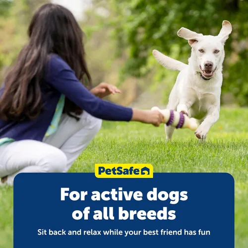 Miniatura 6 de PetSafe Paquete variado de anillos para perros Busy Buddy Toys 2 sabrosos sabores 60 recambios pequeños