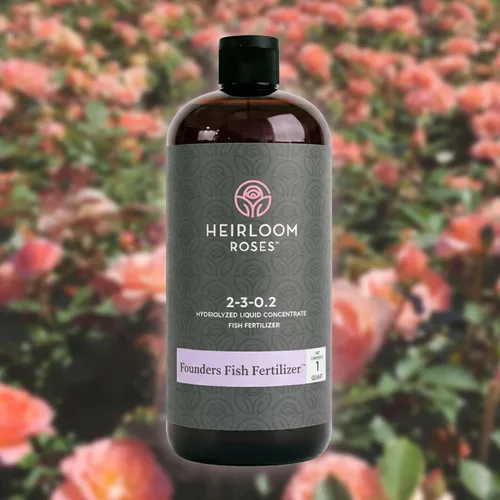 Miniatura 11 de Heirloom Roses Founder's Fertilizante para peces, alimento vegetal para plantas, fertilizante líquido orgánico de emulsión, fertilizantes de jardín