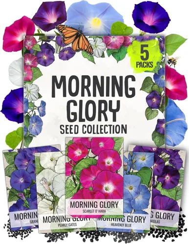 Miniatura 11 de Seed Needs - Semillas de Capuchina para Plantar Flores Comestibles - Juego de Colección de Mezcla Joya y Capuchinas de Doble Brillo para Atraer