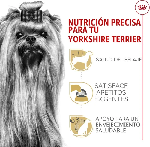 Miniatura 4 de Royal Canin Breed Health Nutrition Yorkshire Terrier Adulto Alimento Seco para Perros, Bolsa de 10 lb