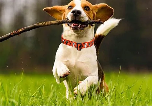 Miniatura 7 de Mihqy - Collar de perro de Halloween con diseño de fantasma, murciélago y calabaza, ajustable para perros pequeños, medianos y grandes, Halloween, M