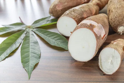 Miniatura 9 de Harina de yuca orgánica, 8 onzas, sin OMG, polvo de raíz de yuca cruda, 100% pura, kosher, superalimento vegano, paleo, a granel, sustituto