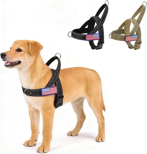 BINGPET Arnés sin tirones para perros pequeños | A prueba de fugas y sin estrangulamiento | Chaleco acolchado suave con asa y clip frontal