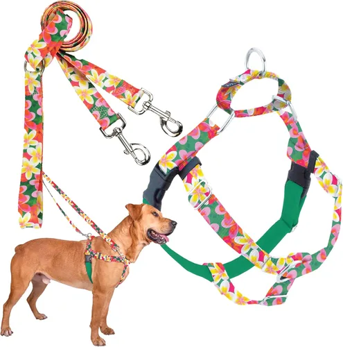 Miniatura 20 de 2 Hounds Design - Arnés para perro (libertad sin tirar), control ajustable, suave y cómodo para pasear perros fácilmente, para perros pequeños, Azul