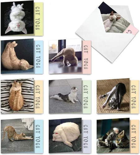 Miniatura 11 de The Best Card Company - 10 tarjetas de notas de yoga en blanco (4 x 5.12 pulgadas) - Tarjetas de notas en caja con sobres, tarjetas de animales