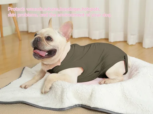 Miniatura 5 de Traje de recuperación de cirugía para perros – Después de la esterilización, heridas abdominales después de la recuperación quirúrgica, antilamida