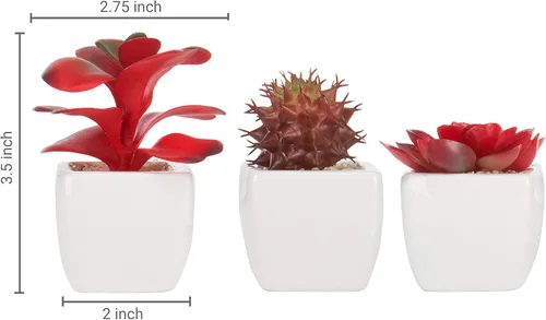 Miniatura 5 de MyGift Surtido de plantas suculentas rojas artificiales, mini plantas falsas del desierto en macetas cuadradas blancas, juego de 3 Rojo (juego de 3)