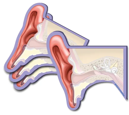 Miniatura 32 de Notas Adhesivas de Anatomía