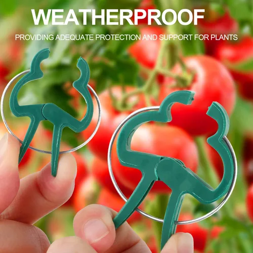 Miniatura 2 de Yinghezu 120 clips de soporte para plantas, flores y vides, clips de soporte para plantas de tomate de jardín para apoyar tallos, enredaderas