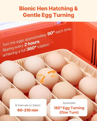 Miniatura 4 de VEVOR Incubadora de 36 huevos, incubadora automática con volteador de huevos y candelero LED y bandeja de agua, control de temperatura y humedad