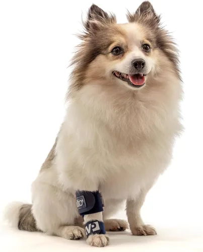 Balto Férula de carpal/tarsal - Soporte para perro hiperextensión con férula de aluminio - Soporta fracturas y esguinces - Soporte de pierna