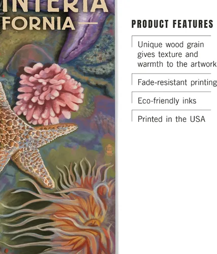 Miniatura 3 de Lantern Press Carpinteria, California, Tidepool (10.0 x 17.9 in, madera, listo para colgar)