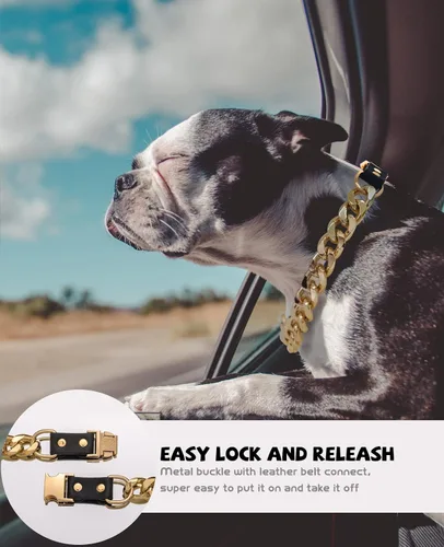 Miniatura 3 de Collar de perro de cadena dorada – Collar de perro de eslabones cubanos de metal de 7/8 pulgadas de ancho con cinturón de cuero, ligero protege