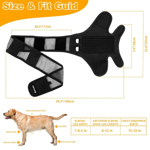 Miniatura 4 de Rodillera para perro para desgarro del ligamento cruzado anterior, pierna de perro para patas delanteras y traseras traseras, soporte elástico