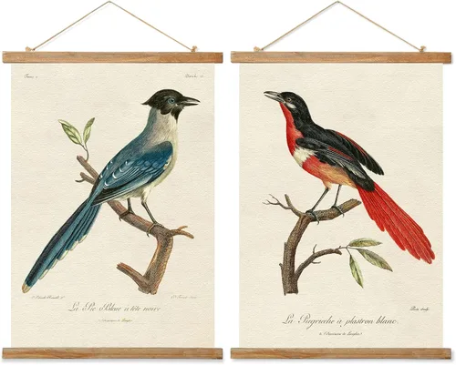 Ovfovy Paquete de 2 pósteres vintage de pájaros, estética rústica para habitación, impresiones artísticas retro sin decoloración, impreso en lino