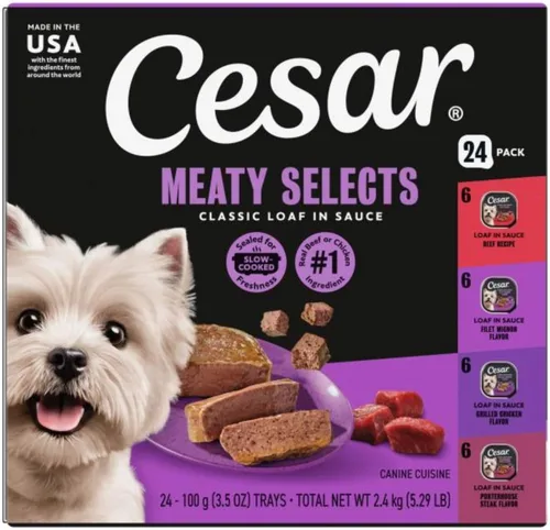 CESAR - Comida húmeda y clásica para perros en un paquete variado de trocitos en salsa de receta de carne de res, filete miñón, pollo a la parrilla