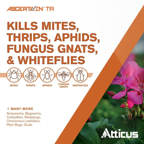 Miniatura 2 de Atticus Ascertain TR - Nebulizador de invernadero (lata de 2 onzas) – (Comparar con alcanzar) – Insecticida/acicida bifentrina de liberación total