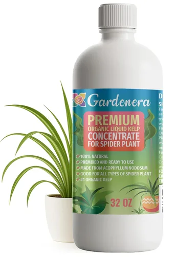 Miniatura 28 de GARDENERA Superalimento orgánico prémium de algas marinas y algas marinas para plantas AGLAONEMA, 8 onzas, concentrado de fertilizante líquido