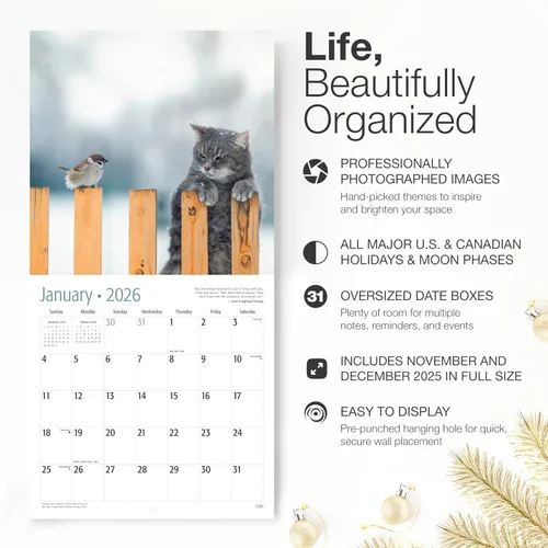 Miniatura 2 de RED EMBER Calendario de pared de gatos 2026 de 12 meses 12 x 24 pulgadas abierto Papel grueso y resistente Regalo de vacaciones Lindo
