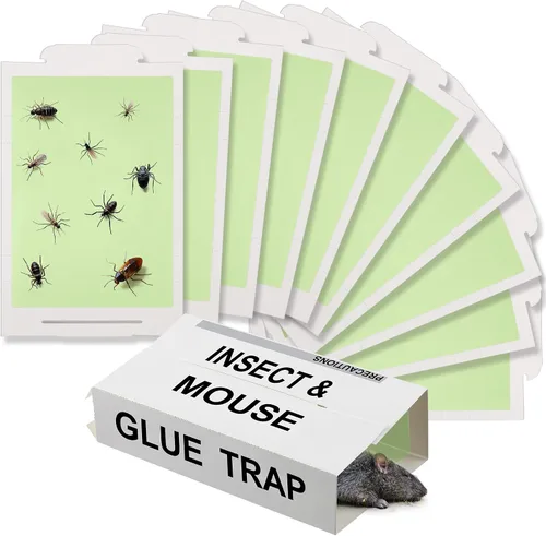 Qualirey Paquete de 10 trampas adhesivas para ratones, trampas verdes de alto contraste para ratones para interiores para el hogar, preperfumadas,