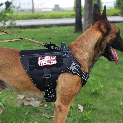 Miniatura 2 de ICEFANG - Arnés táctico para perro, talla L, 2 hebillas de metal, chaleco para transportar carga, ligero y modular (MOLLE) con mango, clip de correa