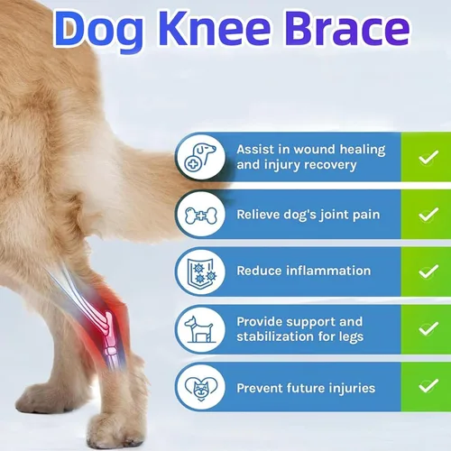 Miniatura 4 de Rodillera para perro para pierna trasera desgarrada del ligamento cruzado anterior, soporte ajustable para la pierna trasera delantera y trasera
