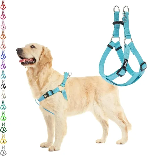 Miniatura 61 de PUPTECK arnés para perro para no jalar, reflejante, ajustable, básico, de nailon, chaleco para cachorro, para caminar al aire libre con etiqueta