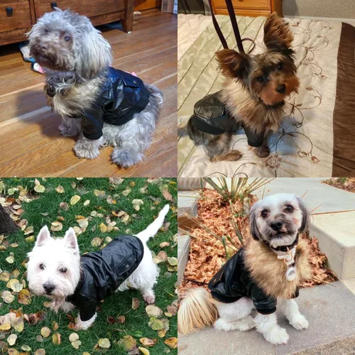 Miniatura 6 de Chamarra impermeable Lesypet de cuero para perro, abrigo invernal para perros pequeños y medianos, rojo vino