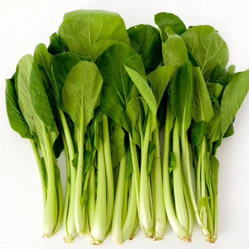 Komatsuna Semillas de mostaza – Summer Fest – Híbrido – 1 onza ~ 10600 semillas – Sin OMG, F1 Hybrid – Jardinería asiática de verduras y hierbas