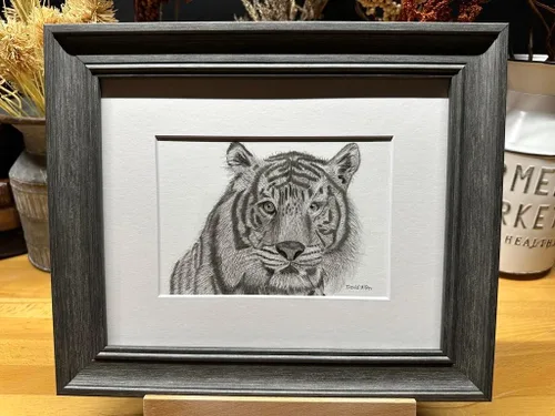 Tiger Nature Wildlife Graphite Pencil Art Sketch Drawing Print Picture Limited Edition ~ Titled 'Forest Lord' by David Allen (8x10 Gray Frame &