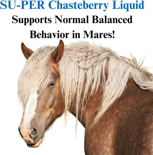 Miniatura 2 de SU-PER Suplemento de Chasteberry para caballos, apoya la regulación hormonal y la función saludable de las glándulas pituitarias en yeguas