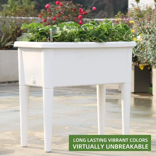 Miniatura 6 de Dexceder Cama de jardín elevada de 13.2 galones con riego automático, tapa transparente con ventilación, invernadero, caja de plantación para Blanco