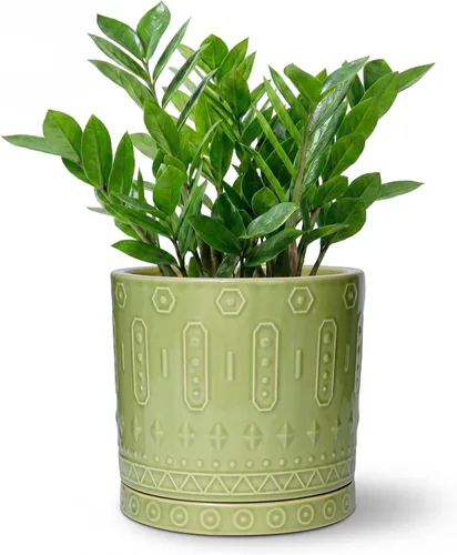 Miniatura 31 de Maceta de Cerámica Eightpot - Maceta de 20 cm para Interior con Agujeros de Drenaje y Platillo, Maceta Redonda para Exterior, Maceta Moderna de Azul