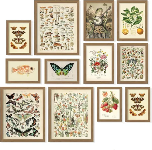 Miniatura 11 de 97 Decor Dark Academia Decor - Impresiones artísticas góticas victorianas para pared, imágenes estéticas oscuras, pósteres góticos espeluznantes